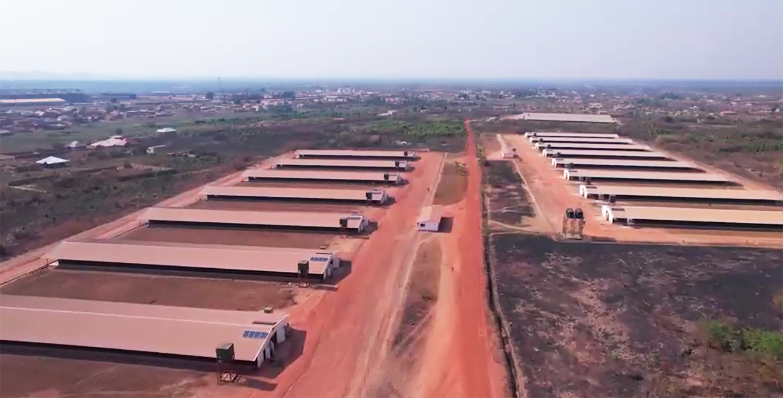 共创中非合作新标杆！Vinmart与z6com·尊龙电气签订3个非洲光储项目